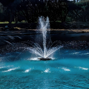 Off-Season Buying: Getting Discounted Pond Fountains for Less